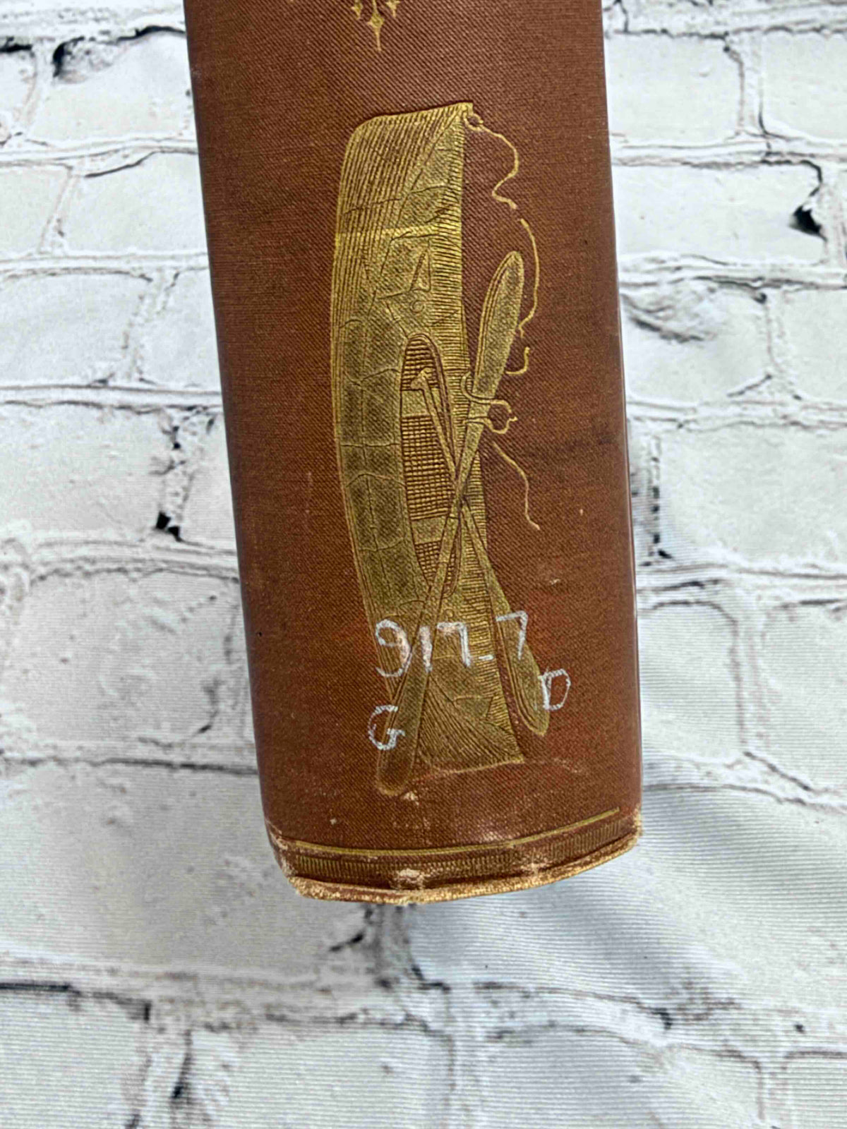 Down the Great River by Willard Glazier, 1888 Hubbard Brothers hardcover - spine with call number