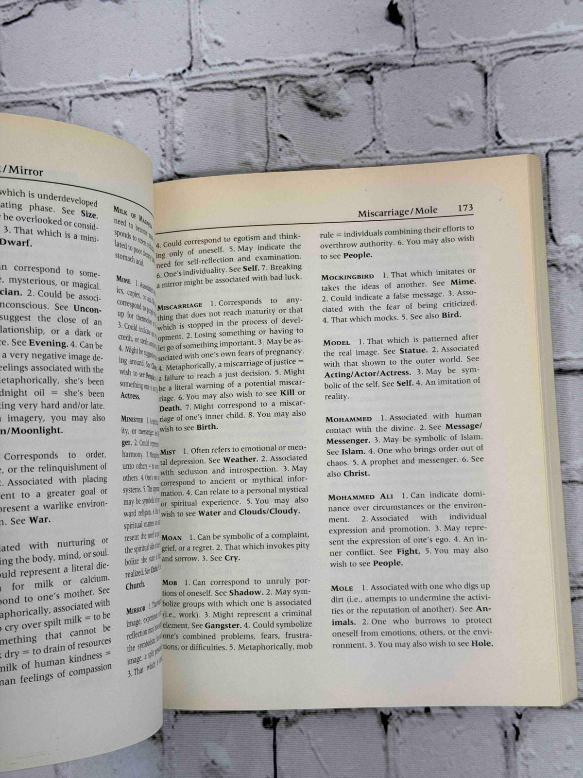 The Encyclopedia of Symbolism by Kevin J. Todeschi, 1995 Perigee paperback - sample pages