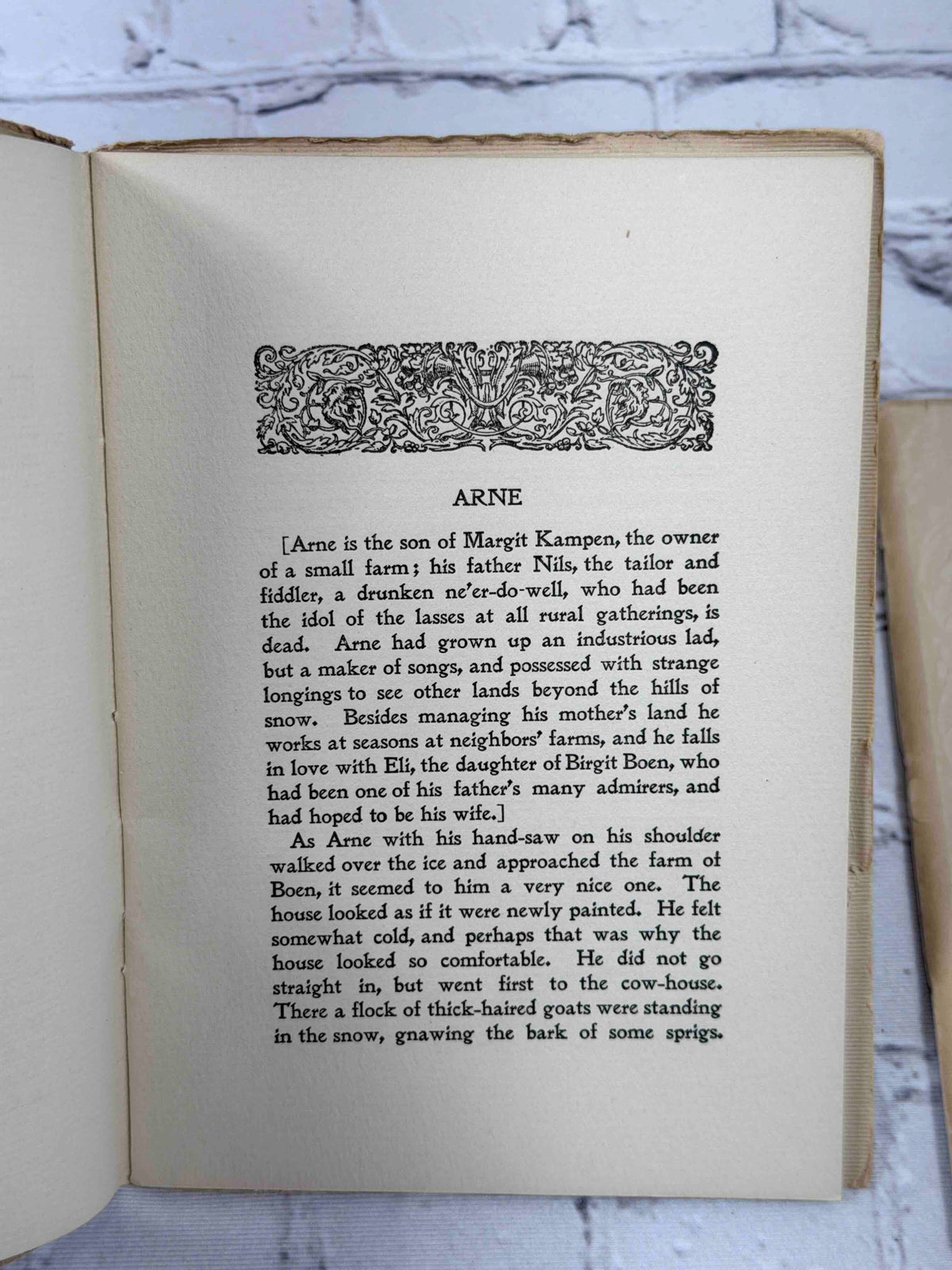 Mossant, Vallon & Co. story booklets lot of 8 - Arne first page
