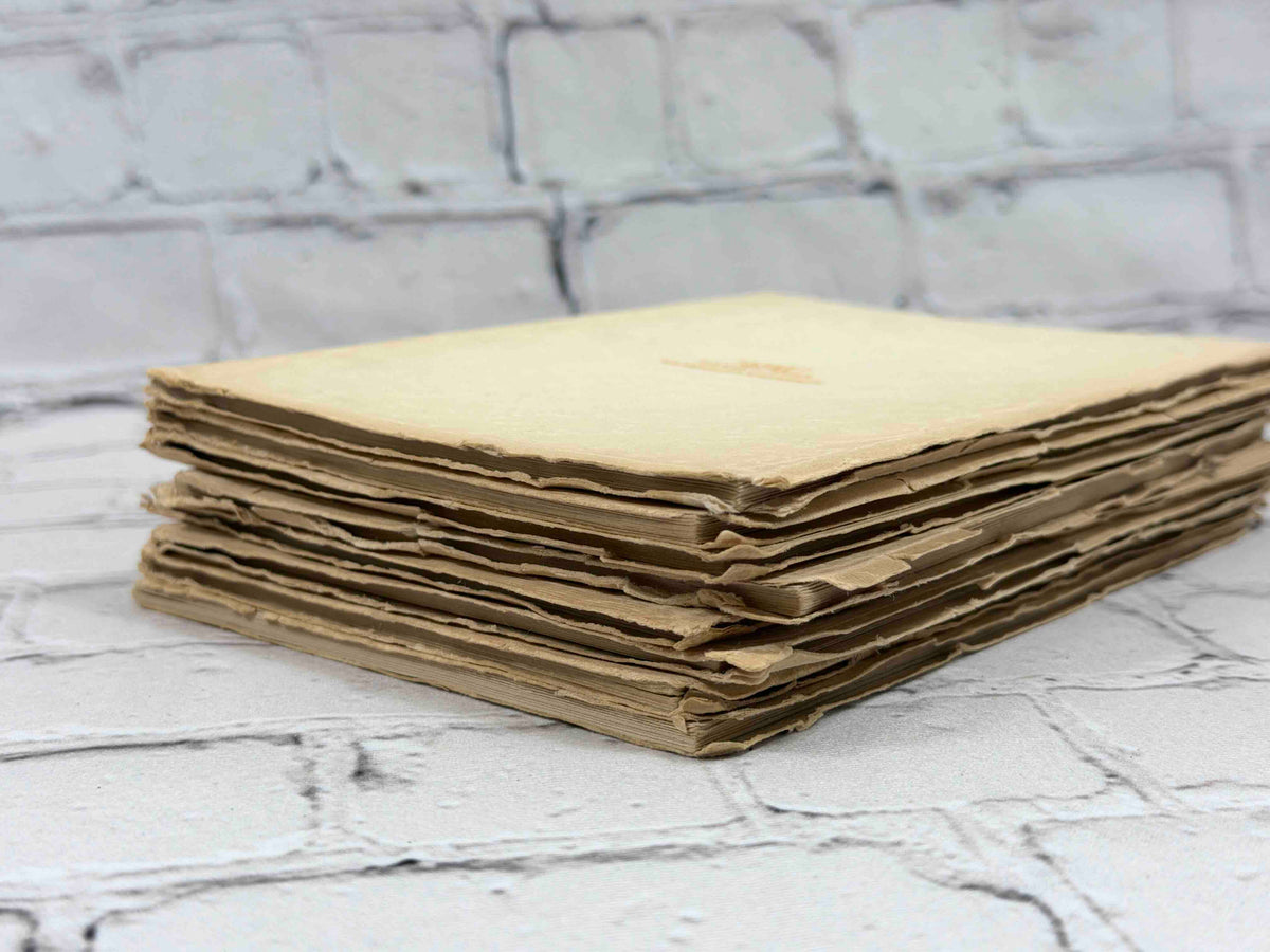 Mossant, Vallon & Co. story booklets lot of 8 - stack of booklets