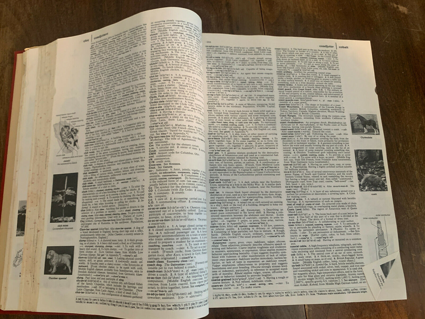 English Dictionary 1981 Vintage "The American Heritage Dictionary (Z2)