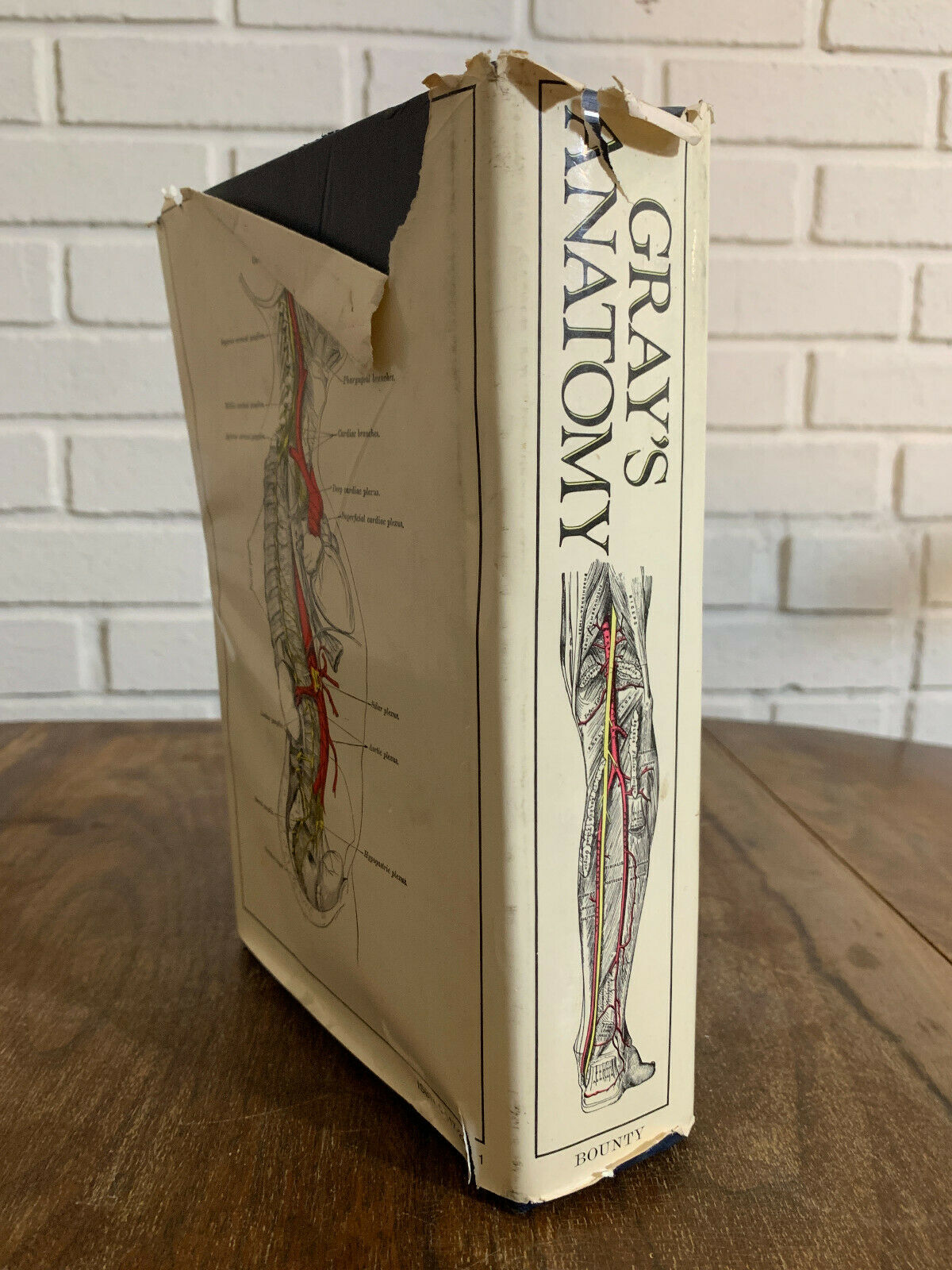 GRAY'S ANATOMY The Classic Collector’s Edition by Henry Gray Copyright 1977