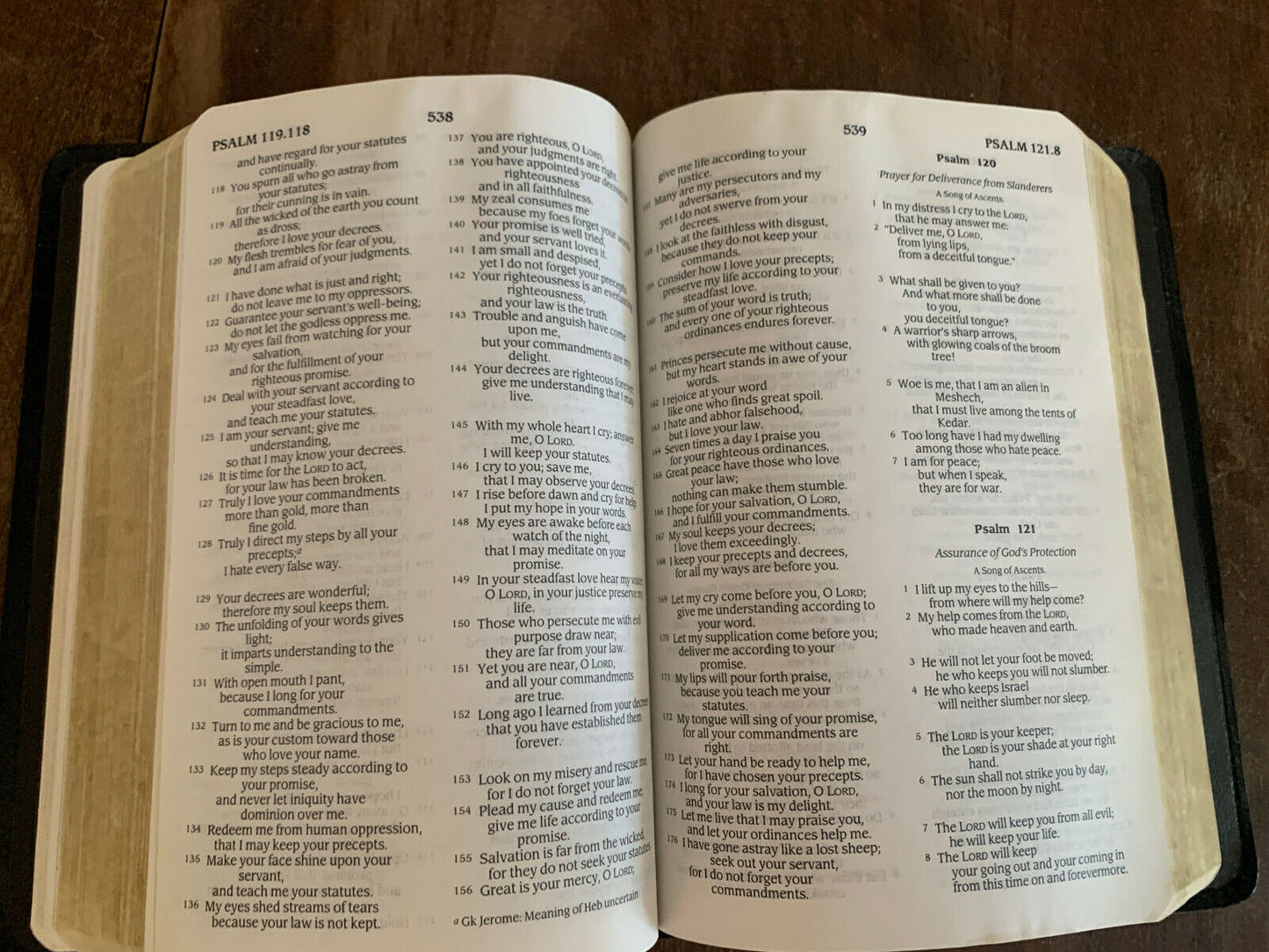 Holy Bible New Revised Standard Version [1989 • 2nd Print]