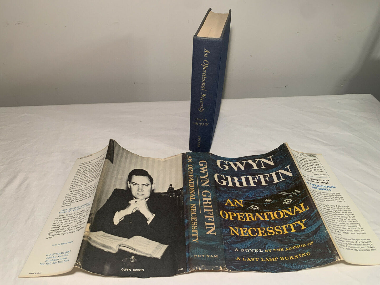 An Operational Necessity & A last Lamp Burning by Gwyn Griffin