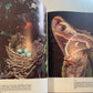 The Illustrated  Encyclopedia  Of Animal Life  The Animal Kingdom Volume 1 (A1)