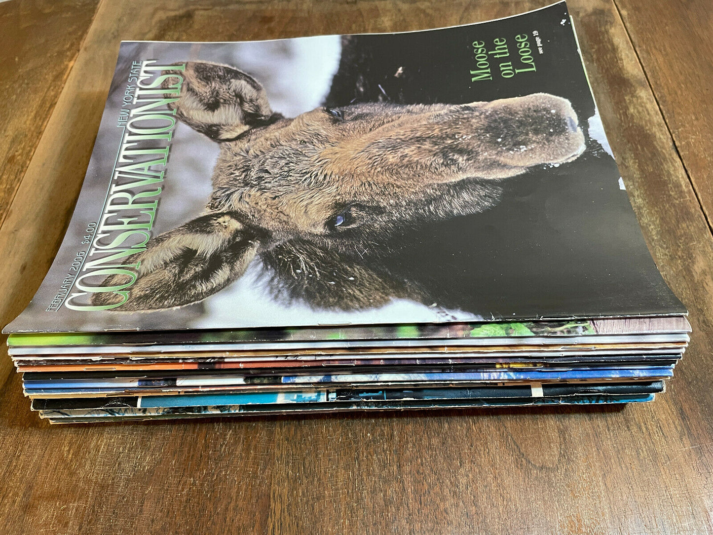 New York Conservationists Gazette Magazines lot of 17 1970s - 2000s