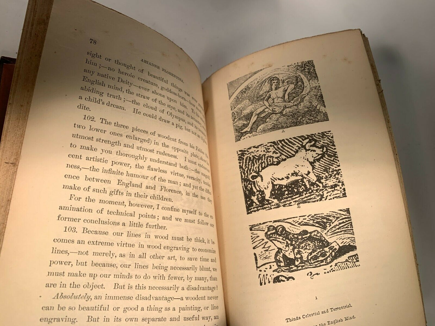 Works of John Ruskin [16 Volume Set · John Wiley & sons · 1871 - 1877]