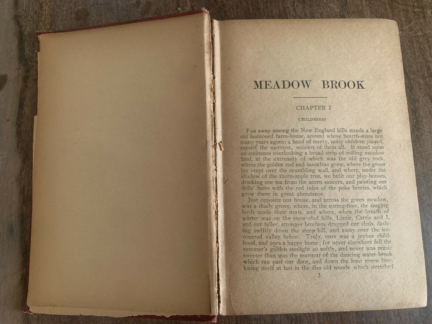 Antique: 1913?  Meadow Brook, Mrs. Mary J. Holmes (J5)