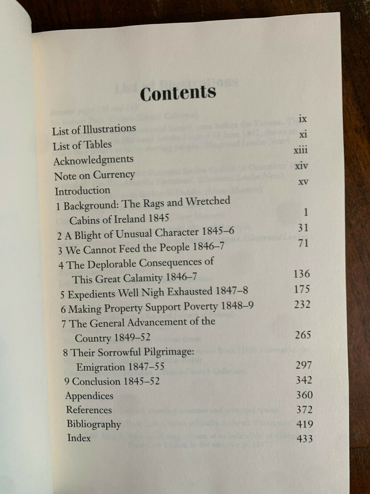 This Great Calamity: The Irish Famine 1845-1852 by Dr. Kinealy, Christine [1995]