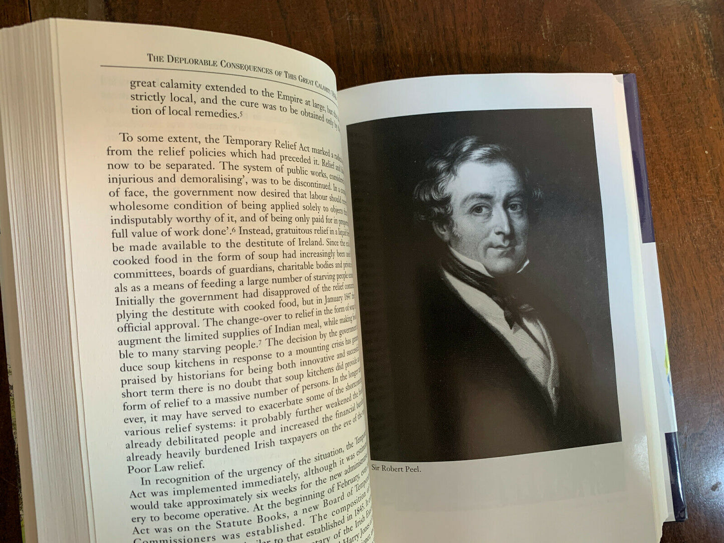 This Great Calamity: The Irish Famine 1845-1852 by Dr. Kinealy, Christine [1995]