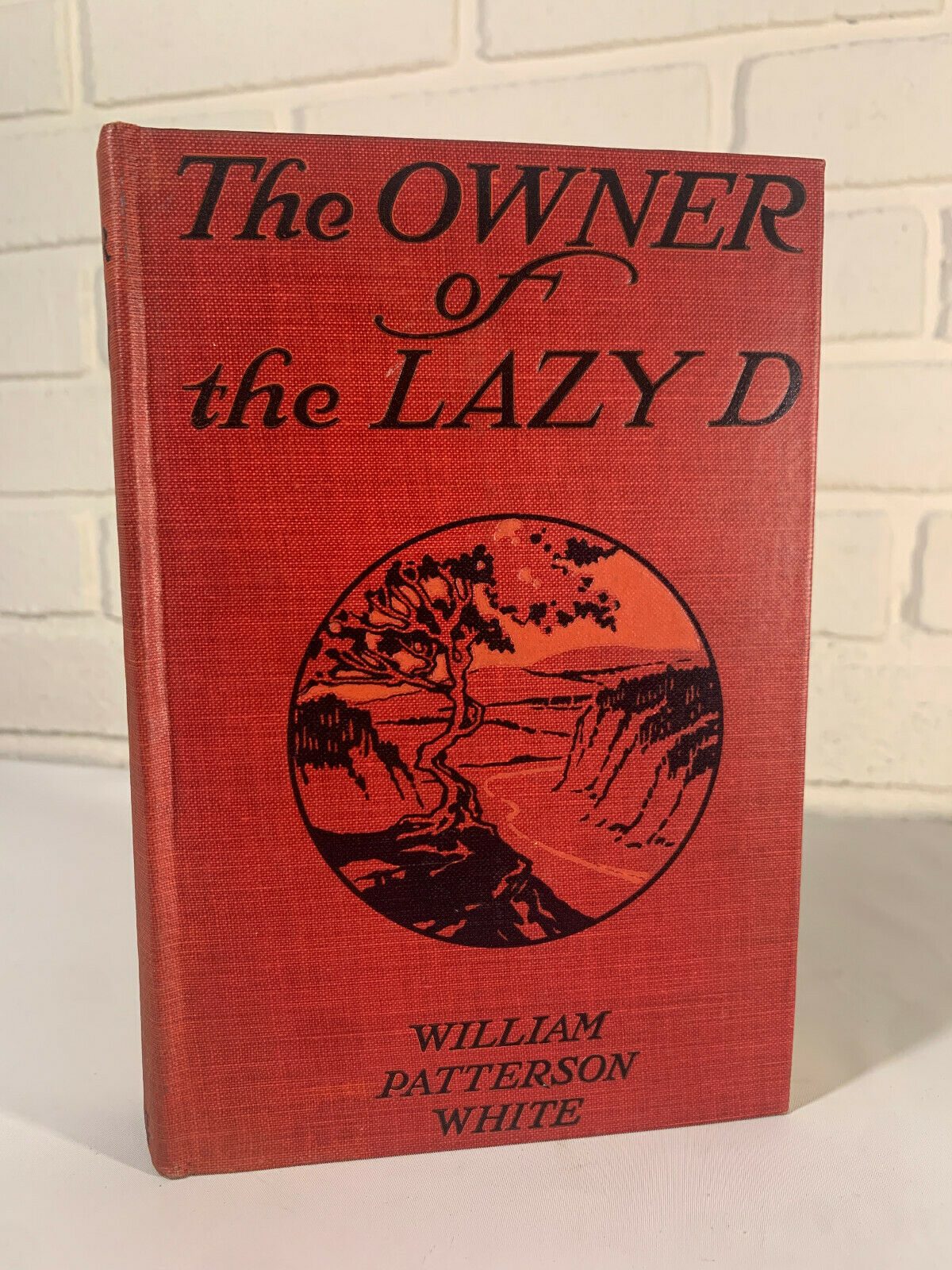 The Owner Of The Lazy D by William Patterson White 1919 (K3)