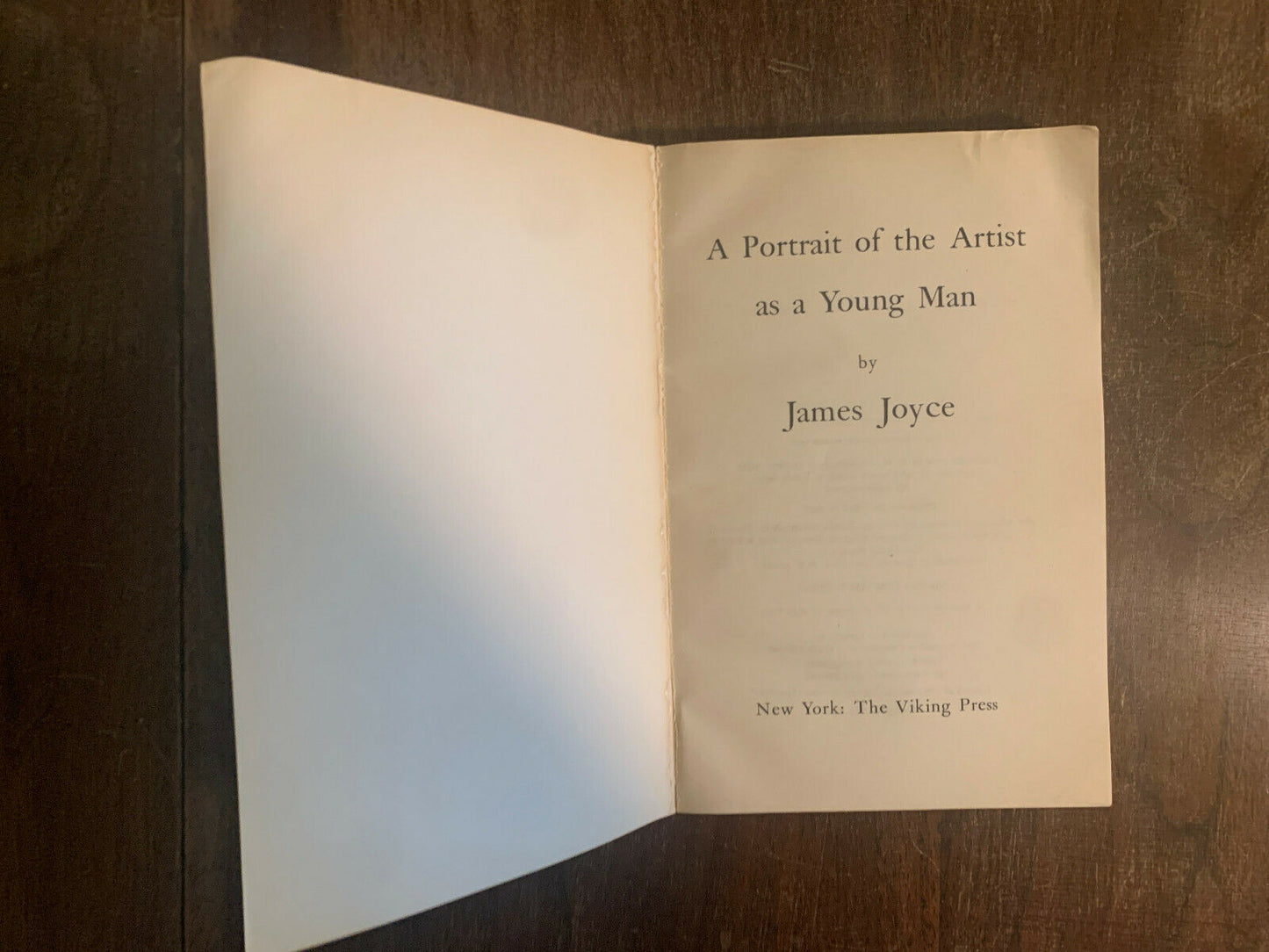 James Joyce Portrait of the Artist as a Young Man [1976]