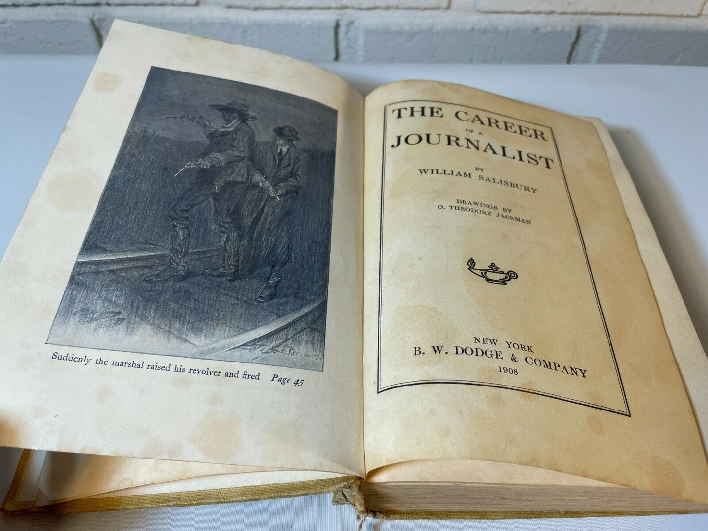 The Career Of A Journalist, William Salisbury (1908) HC (C5)