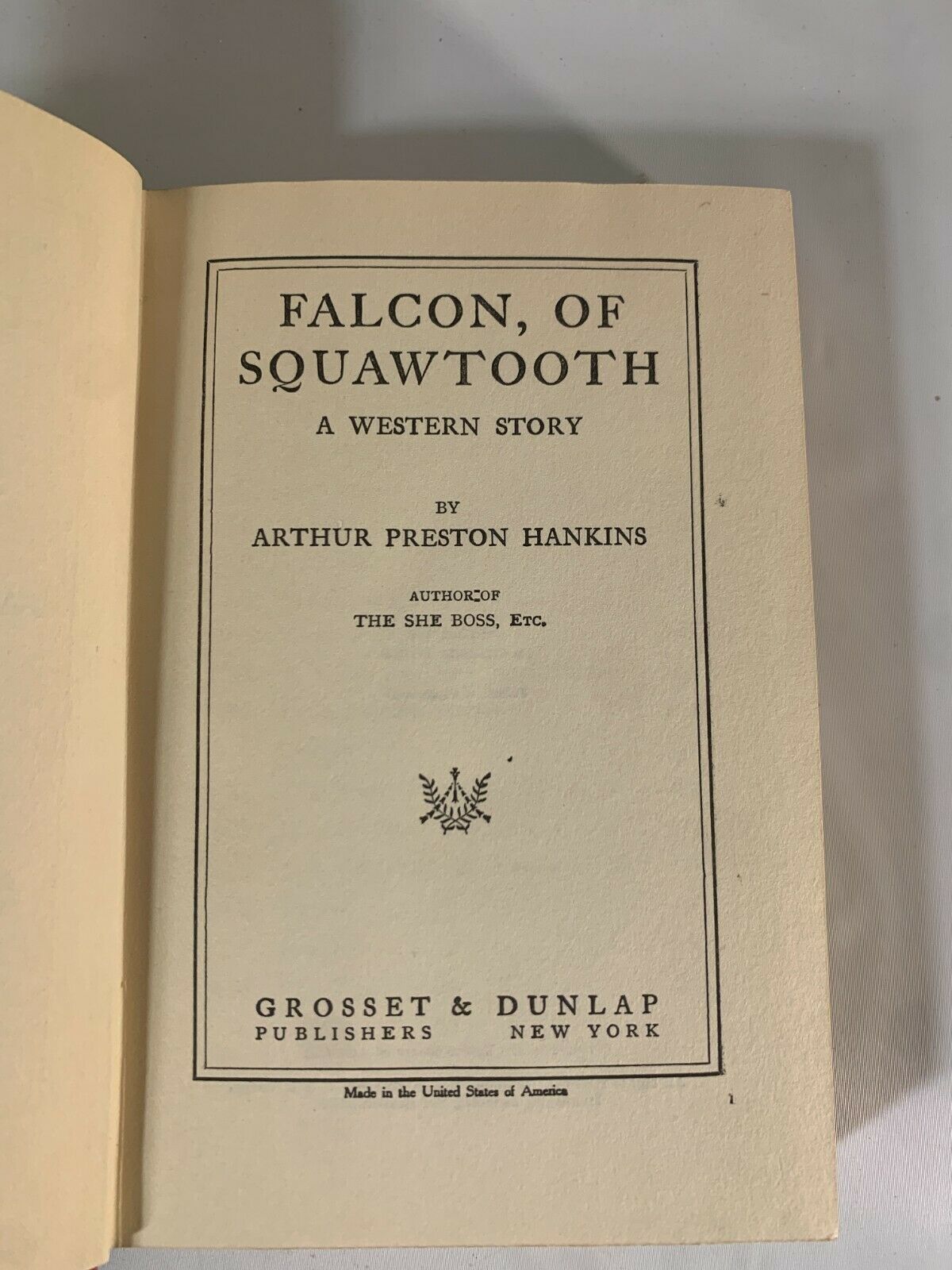 Falcon of Squawtooth: A Western Story, Arthur Preston Hankins (1923) K3