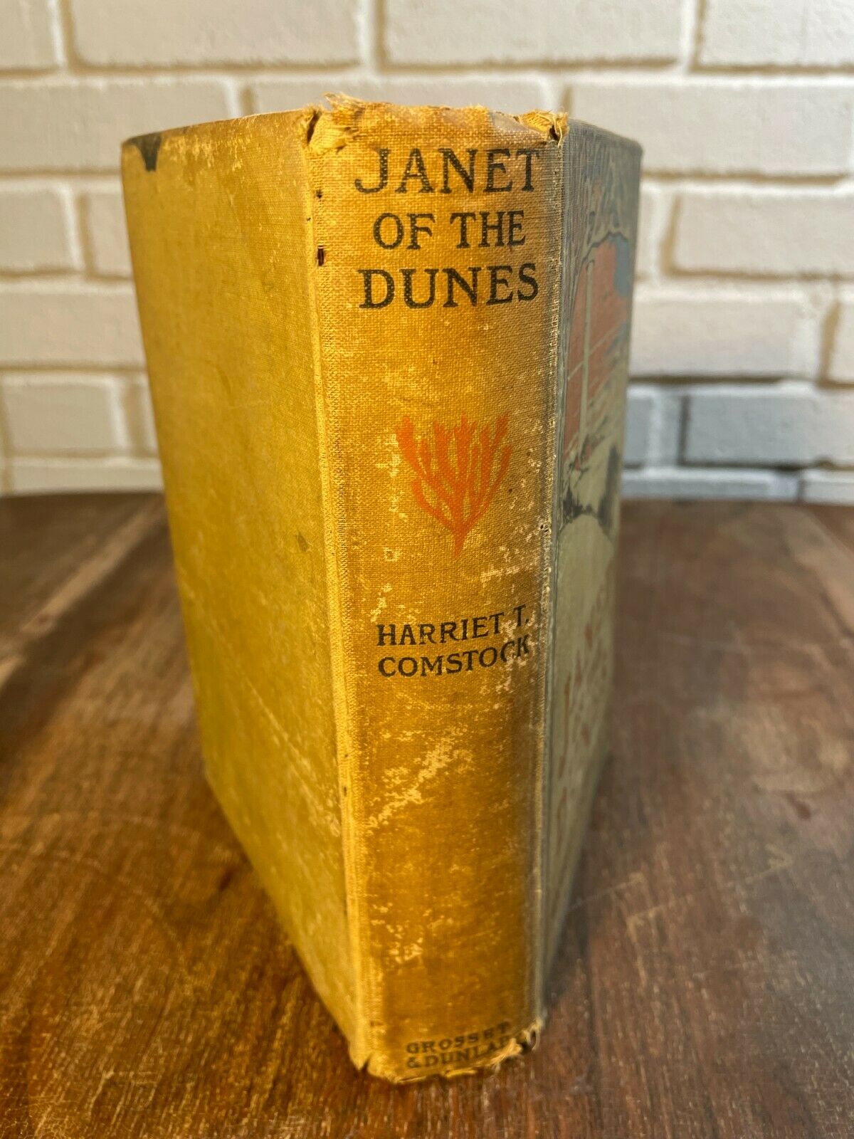 Janet of the Dunes by Harriet T. Comstock, 1907 (O2)