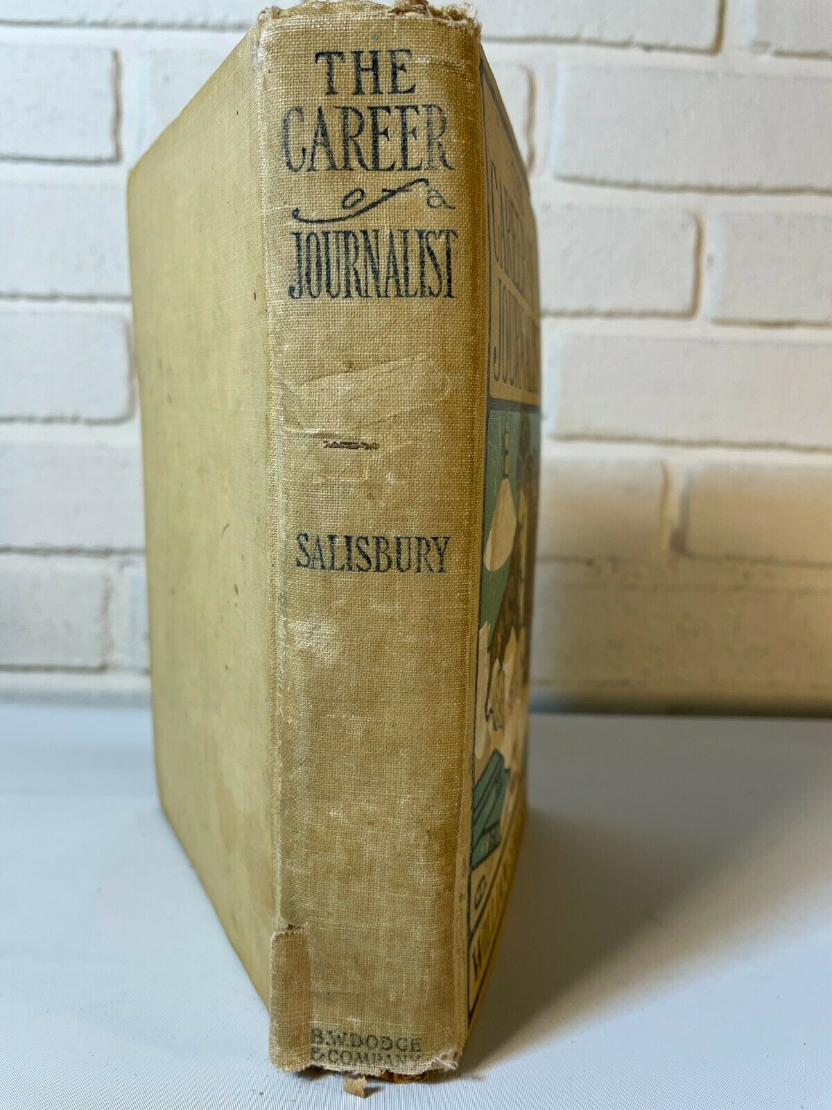 The Career Of A Journalist, William Salisbury (1908) HC (C5)