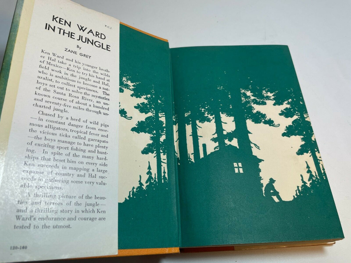 Ken Ward in the Jungle by Zane Grey, [1940]