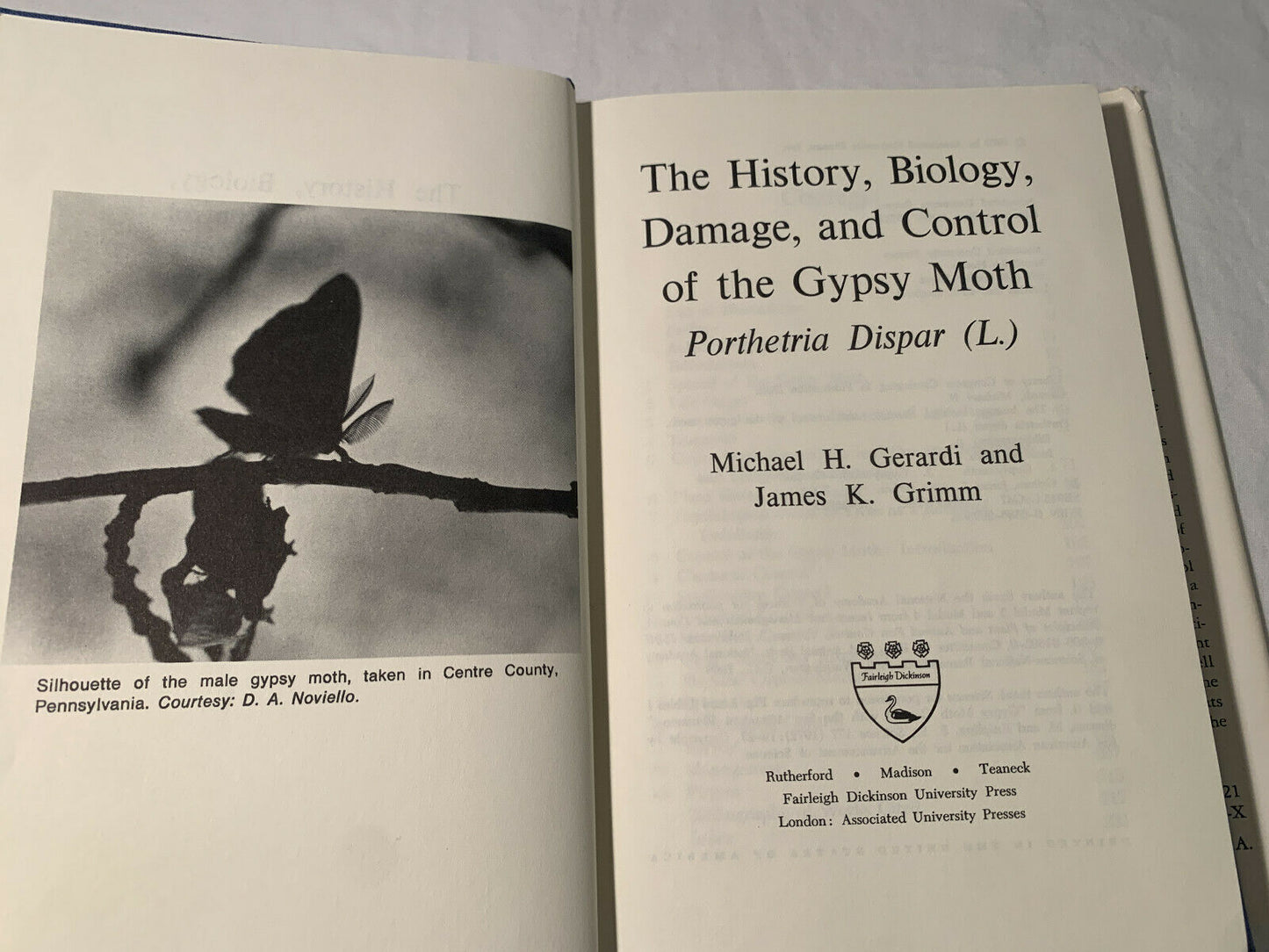 The History, Biology, Damage, & Control of the Gypsy Moth, Porthetria Dispar C6