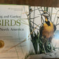 Song and Garden Birds of North America Complete w/ Sound Records National Geo 3B