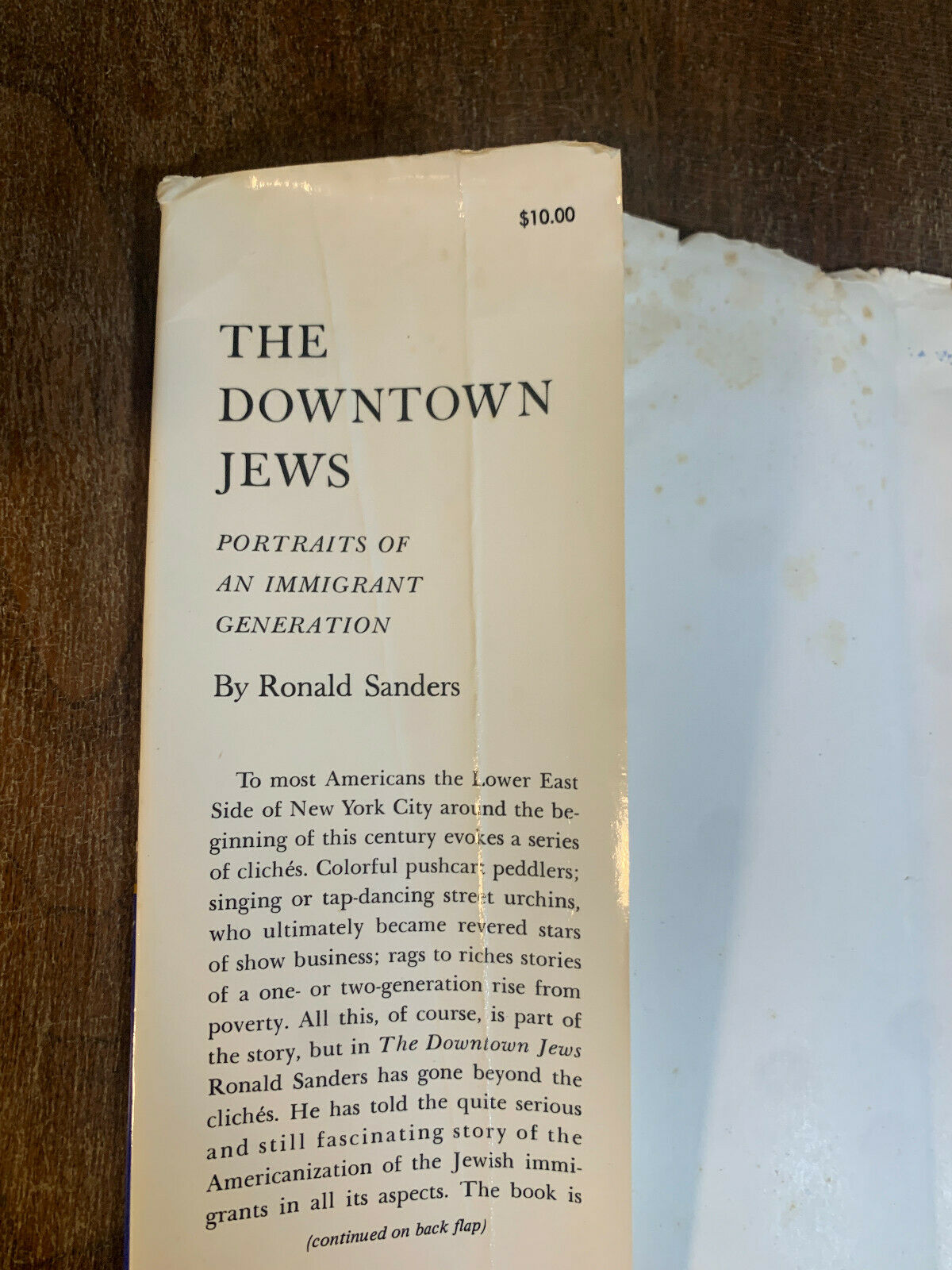 The Downtown Jews Portraits Of An Immigrant Generation by Ronald Sanders