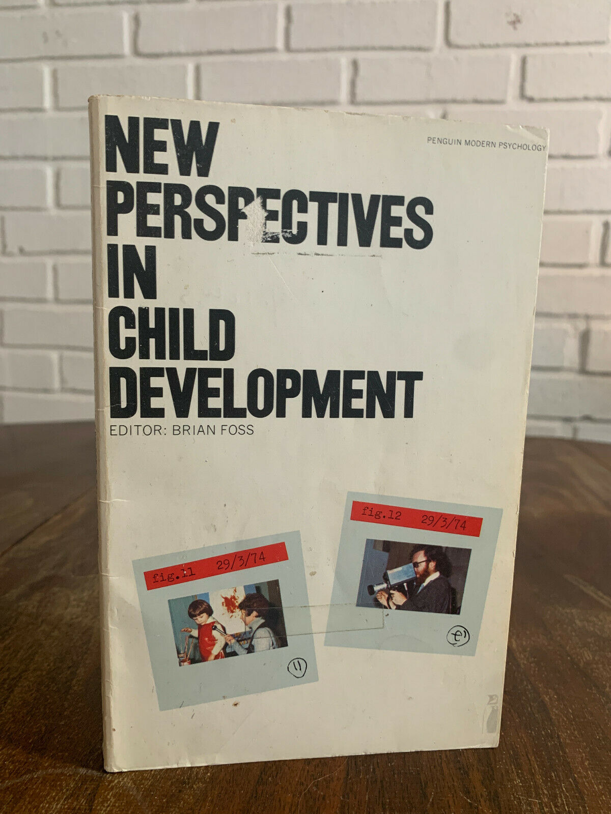 New Perspectives in Child Development edited by Brian Foss (Z2)