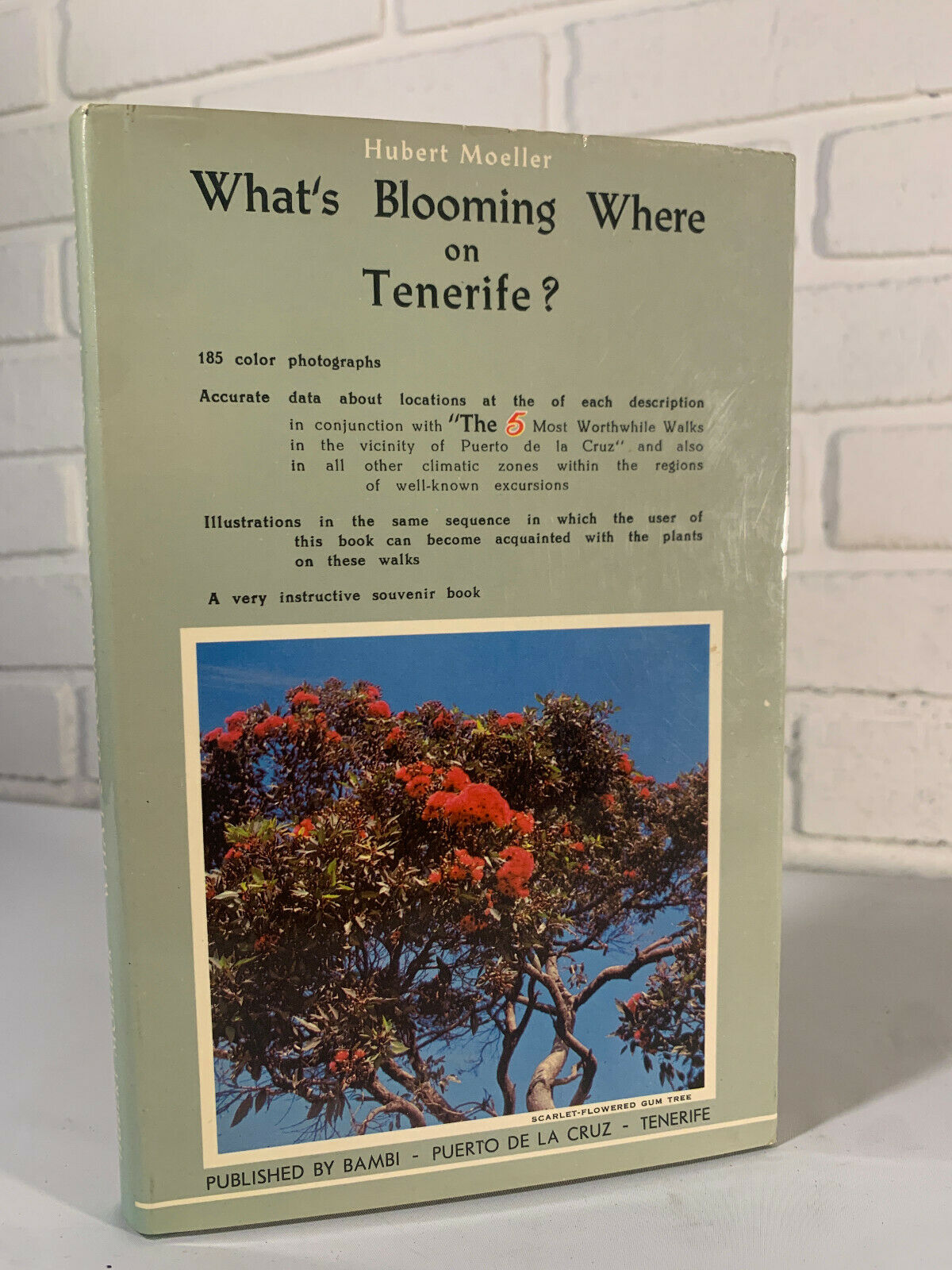 What's Blooming Where on Tenerife by Hubert Moeller 1968 (K3)