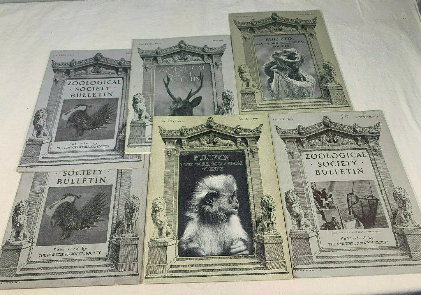 Bulletin: New York Zoological Society - Lot of 6, 1914 - 1928