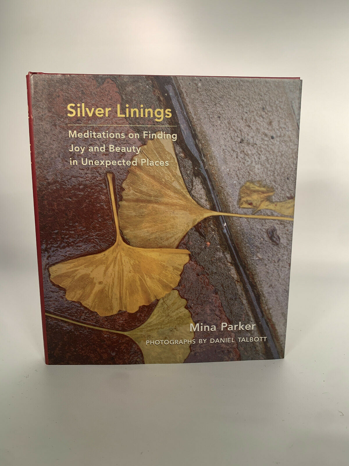 SILVER LININGS: MEDITATIONS ON FINDING JOY AND BEAUTY IN By Mina Parker
