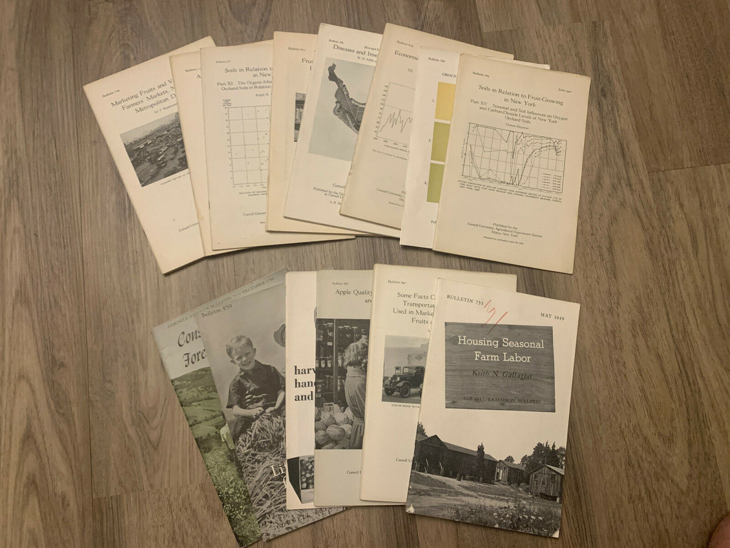 Cornell University Agriculture Bulletin Magazines, Lot of 15 from 1930s-1940s