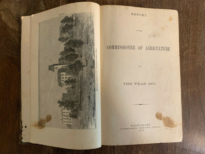 Report of the Commissioner of Agriculture for the Year 1875 (1A)