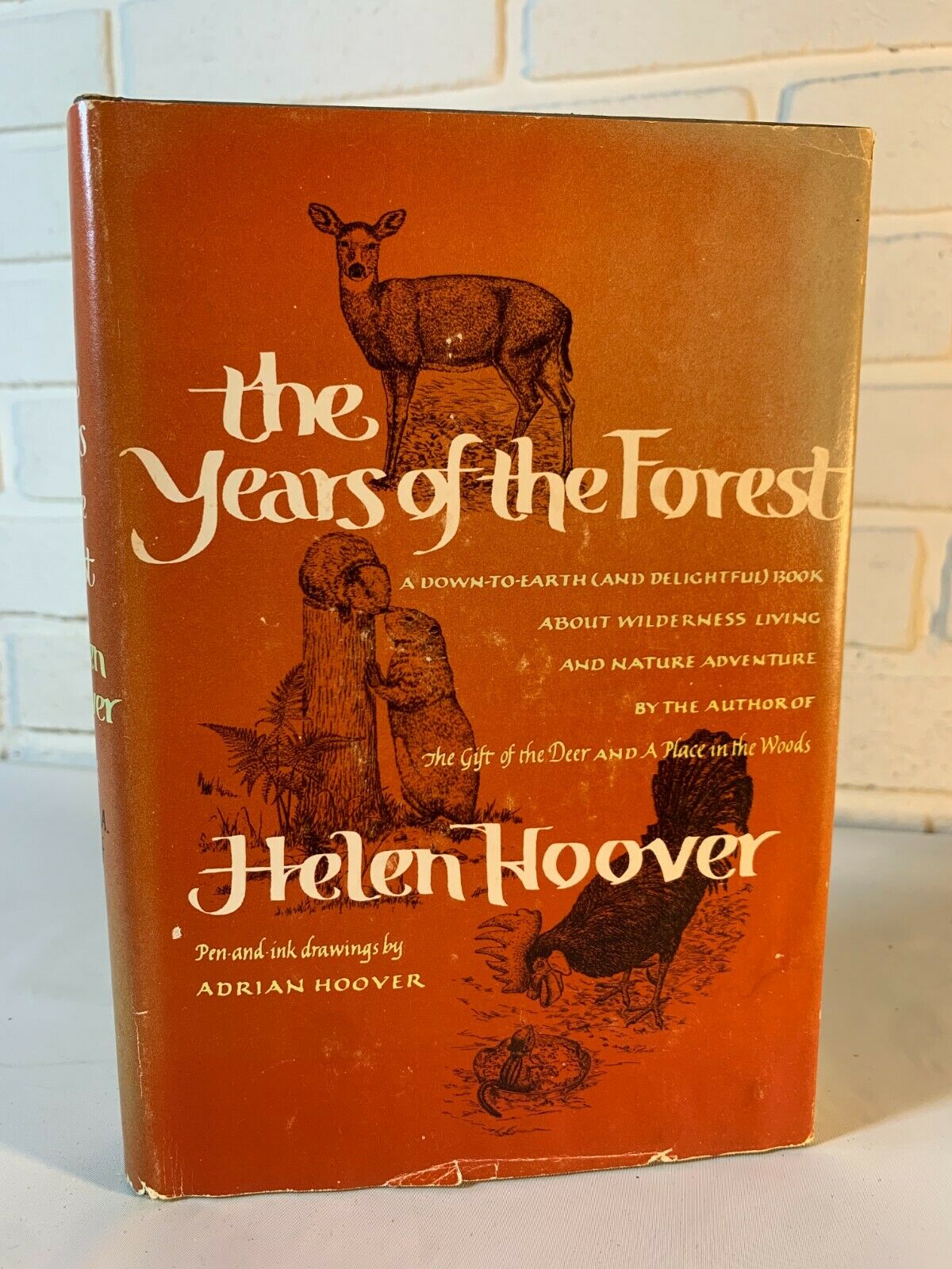 The Years Of The Forest, Helen Hoover (1973) HC (C5)