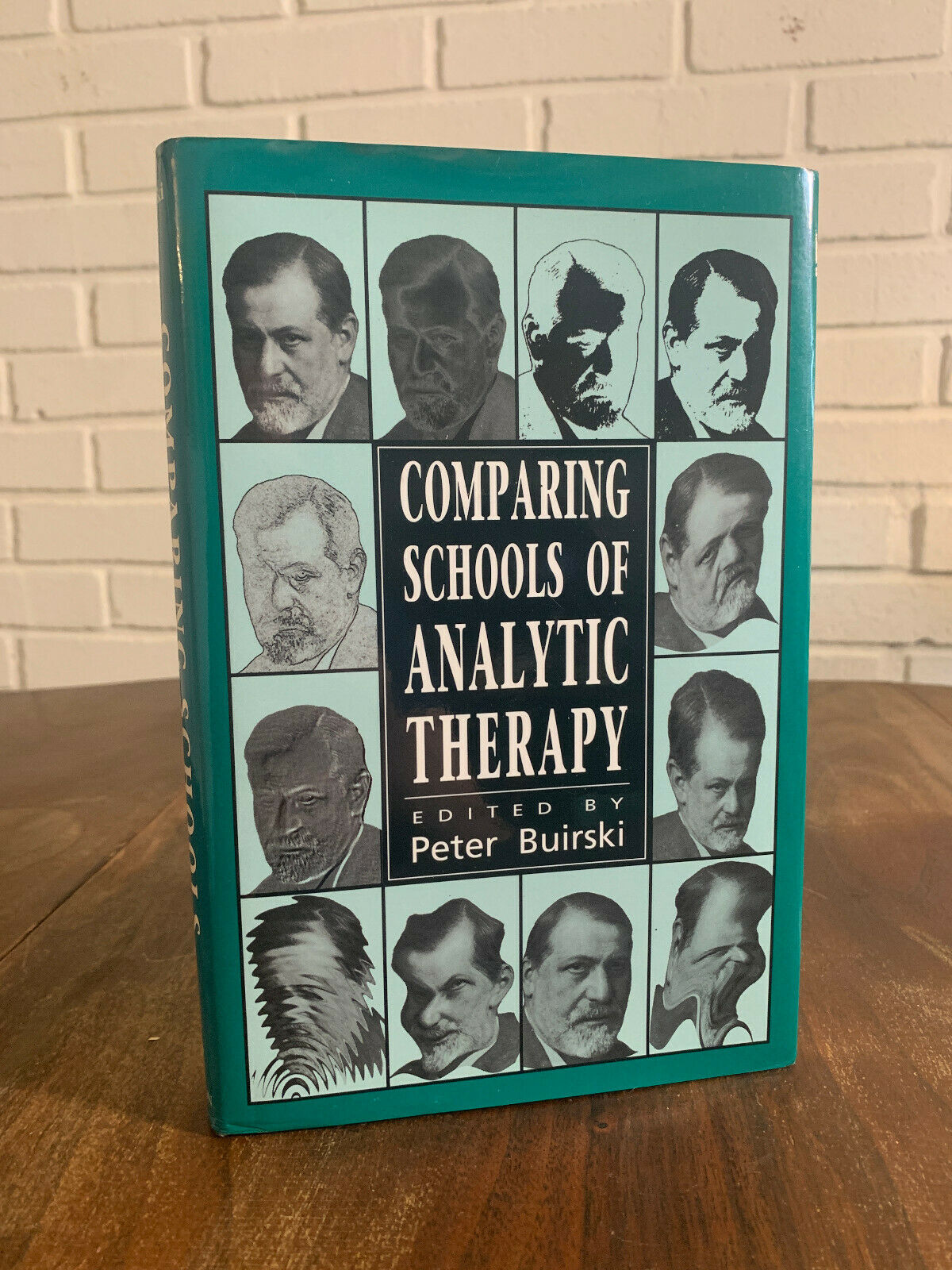 Comparing Schools of Analytic Therapy [Hardcover] Buirski, Peter (Z2)