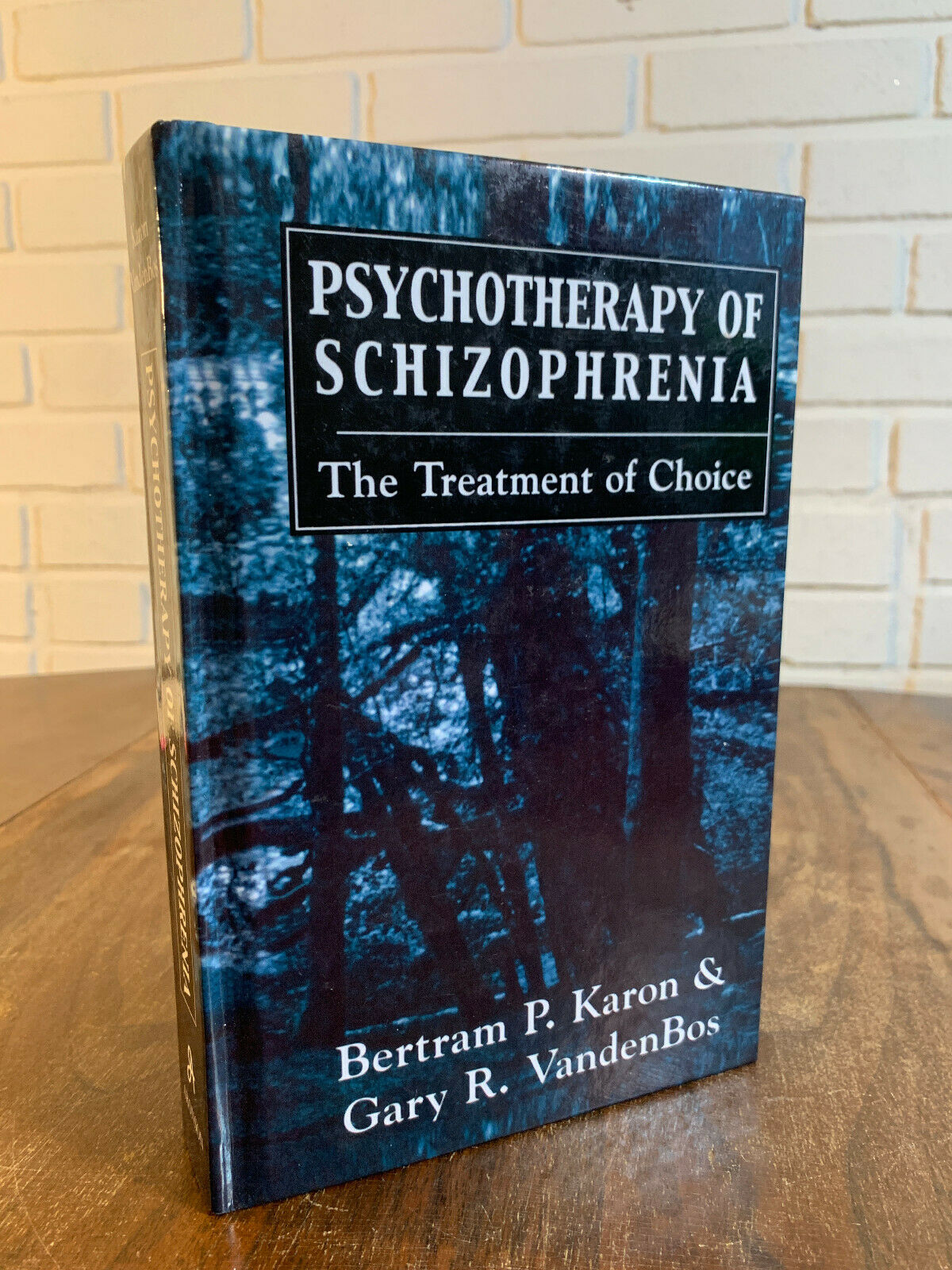 Psychotherapy of Schizophrenia: Treatment of Choice SC Karon, VandenBos 2004 Z1