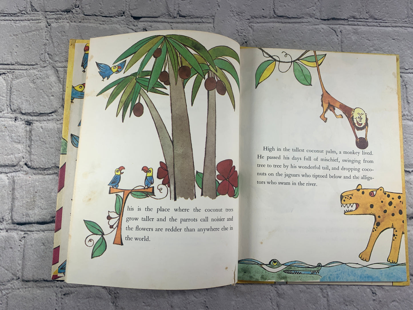 The Monkeys Whiskers: A Brazilian Folktale Book by Anne Rockwell [1971]