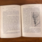 Manual of Fruit Diseases by Hesler & Whetzel 1917