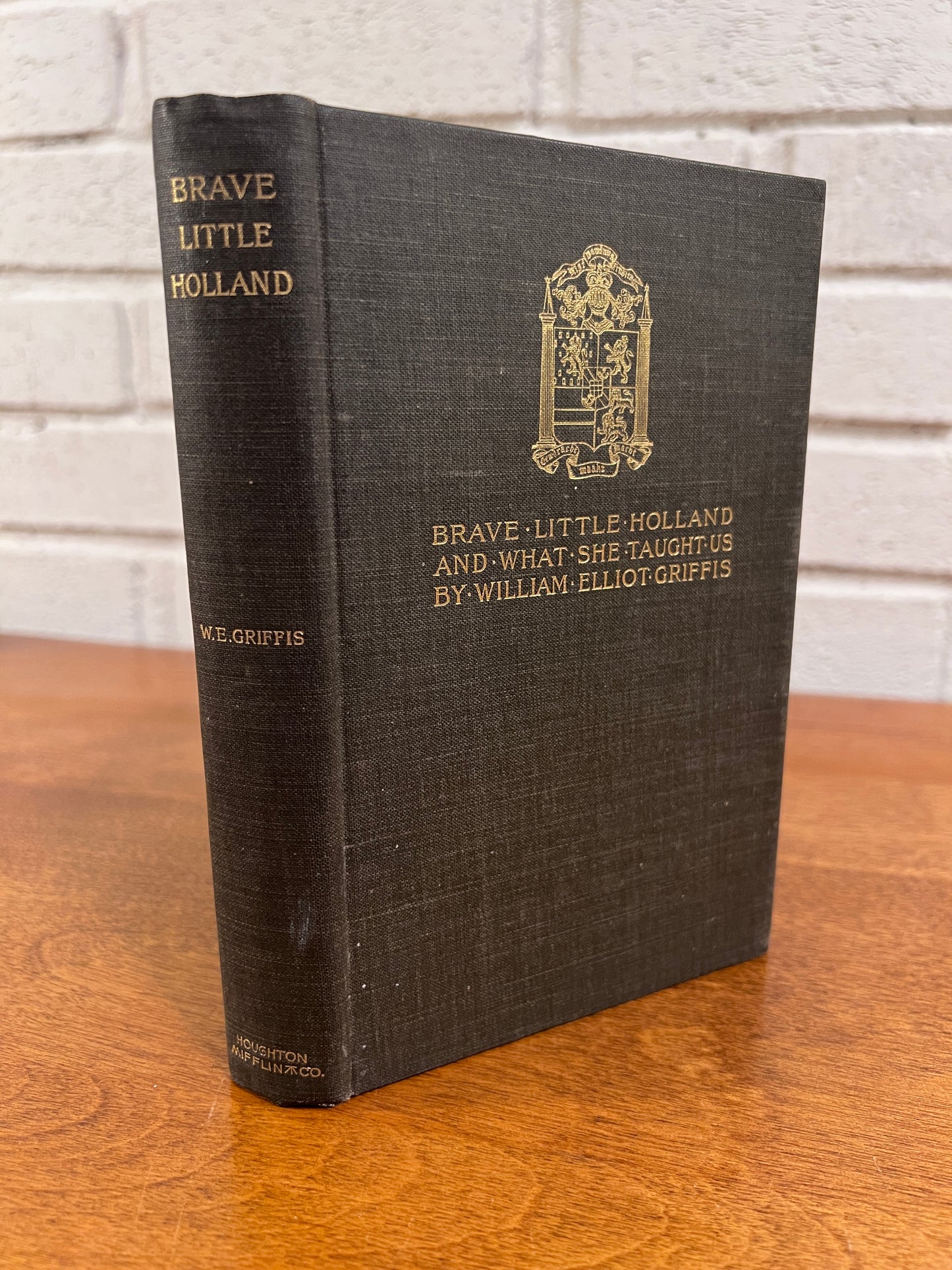 Brave Little Holland and What She Taught Us by William E. Griffis 1901