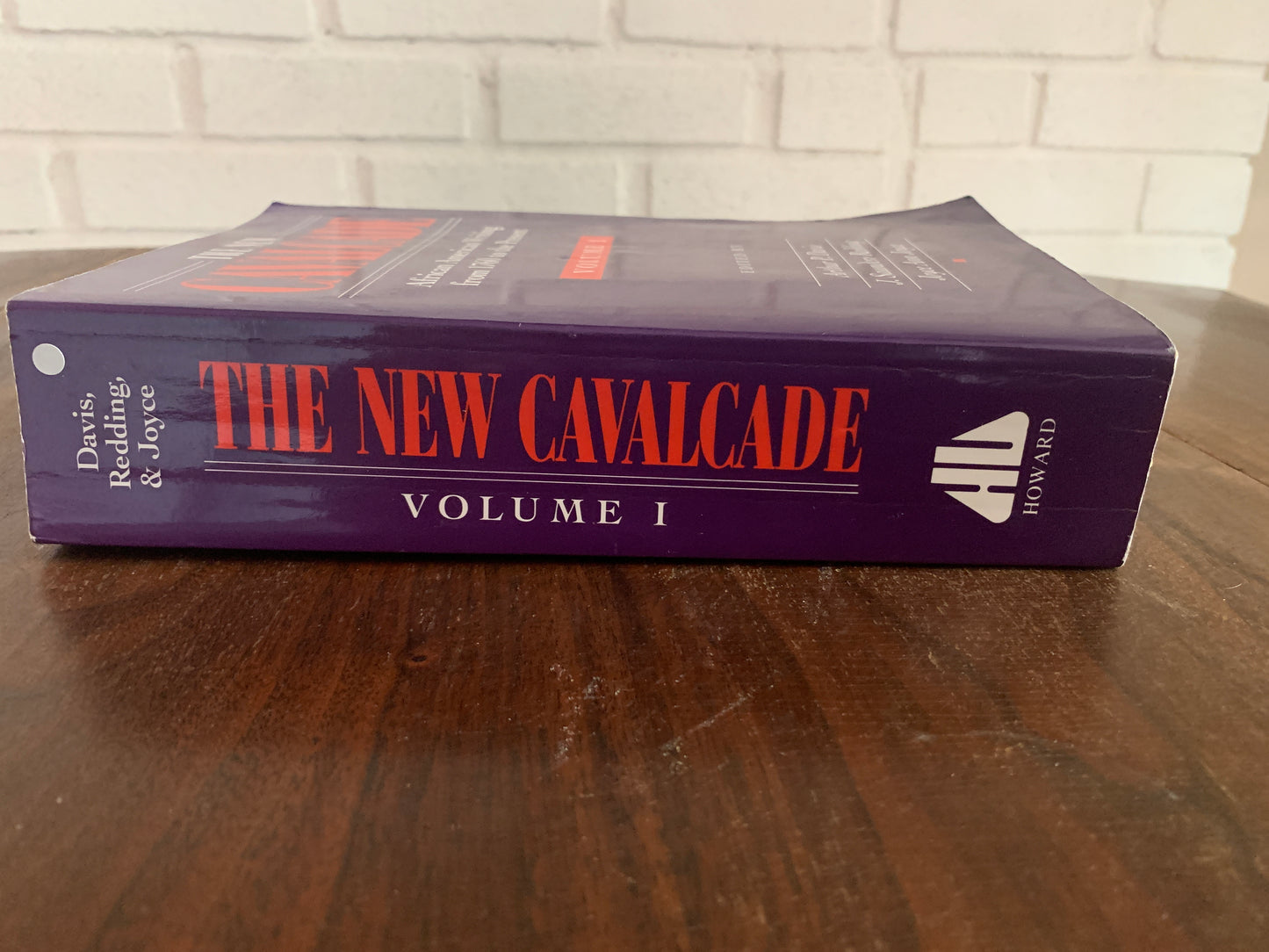 The New Cavalcade: African American Writing from 1760 to the Present Volume 1