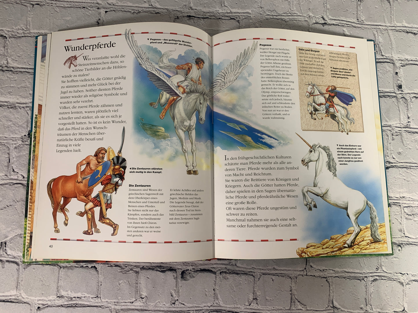 Das grobe Buch der Pferde (The Big Book of Horses) [1996]