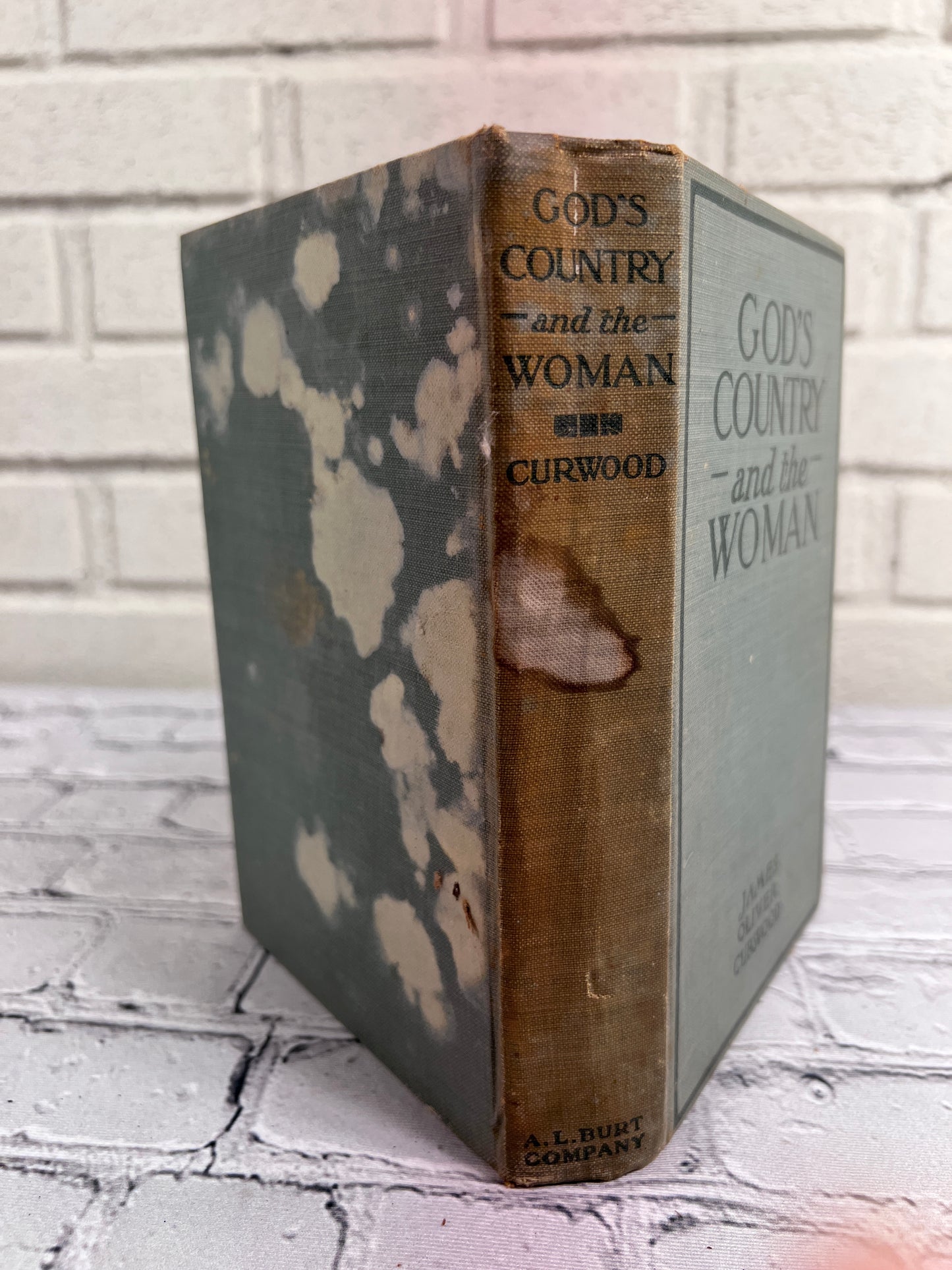 God's Country and the Woman by James Oliver Curwood [1915]