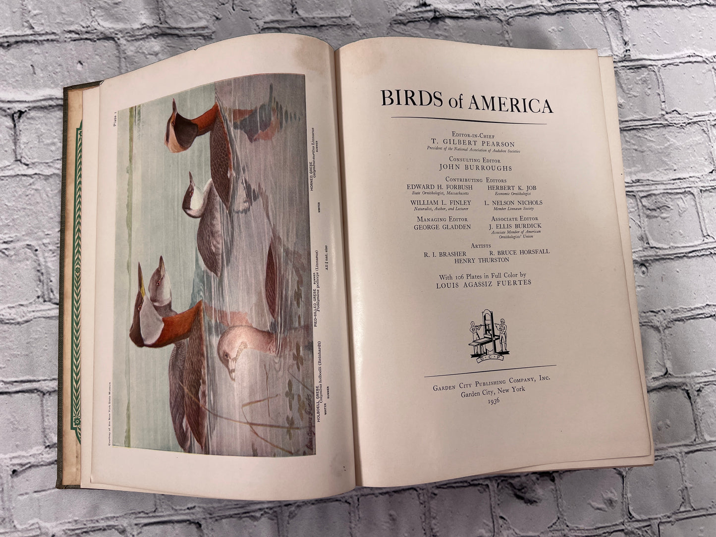 Birds of America: 107 Plates in Full Cover by Louis Fuertes [1936]
