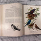 Birds of America: 107 Plates in Full Cover by Louis Fuertes [1936]