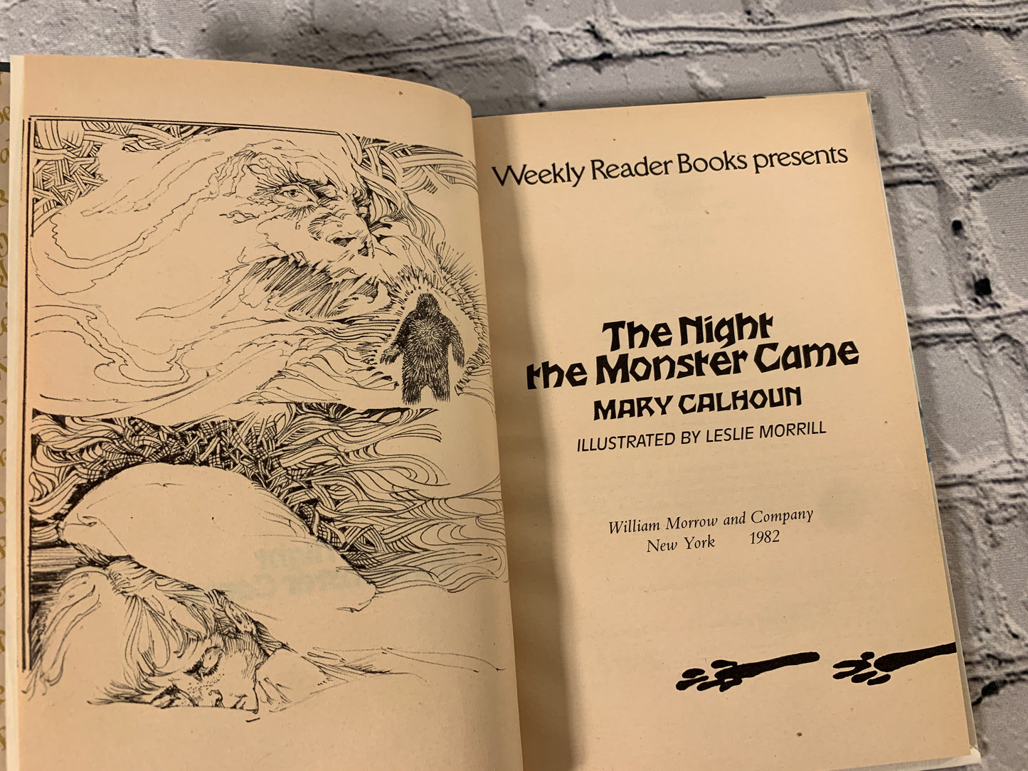 The Night the Monster Came by Mary Calhoun [1982]