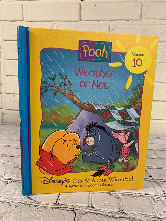 Out & About With Pooh A Grow and Learn Library Weather or Not Vol. 10 [1996]
