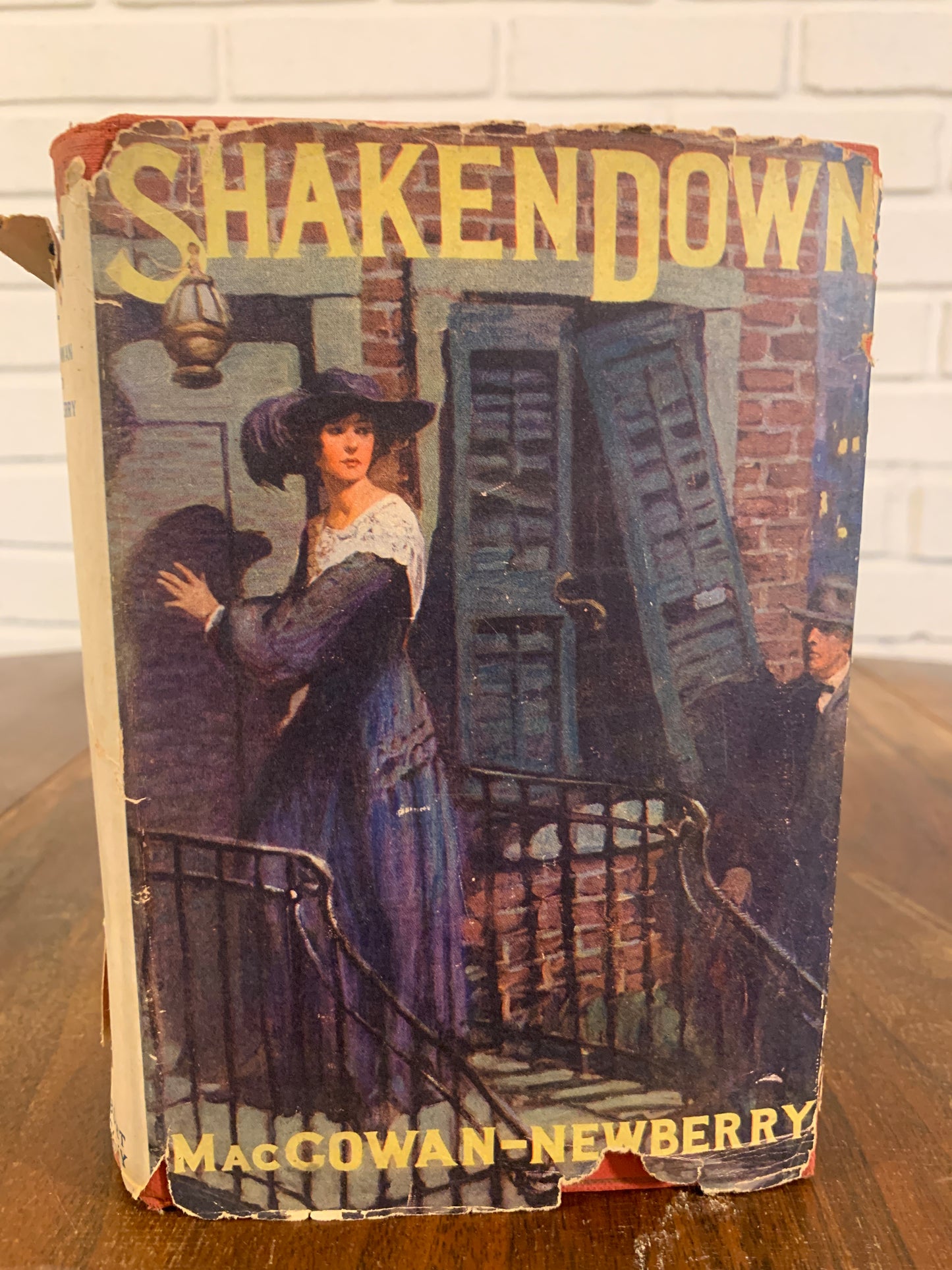 Shaken Down by Alice MacGowen & Perry Newberry 1925 Hardcover