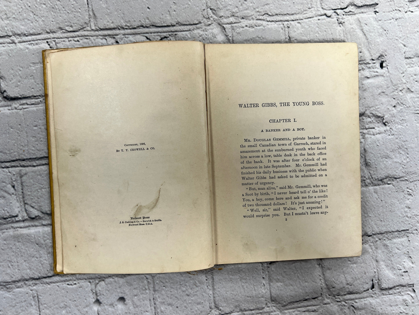 The Young Boss A Book for Boys by Edward William Thomson [1st Edition · 1896]