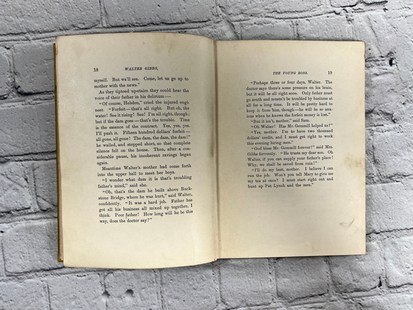 The Young Boss A Book for Boys by Edward William Thomson [1st Edition · 1896]