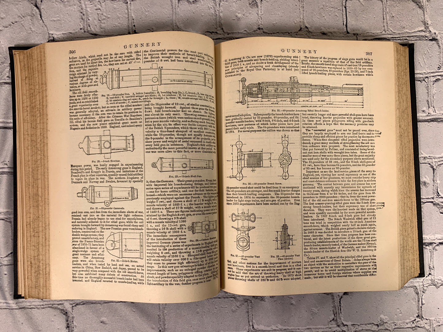 The Encyclopedia Britannica New Werner Edition Twentieth Century Vol XI [1903]