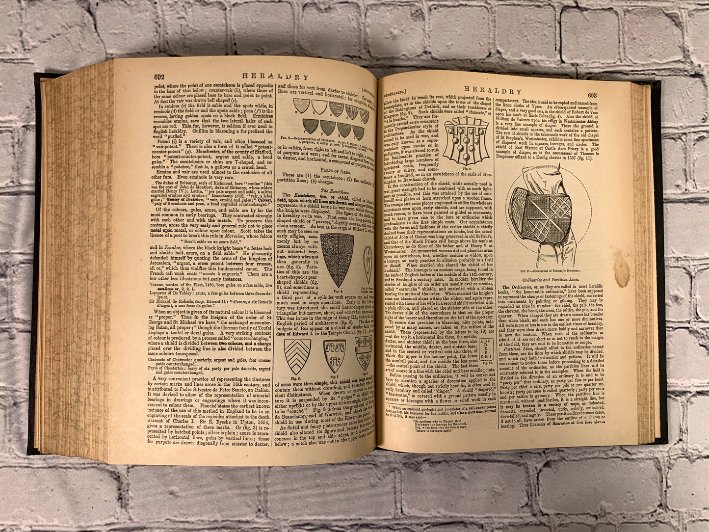 The Encyclopedia Britannica New Werner Edition Twentieth Century Vol XI [1903]
