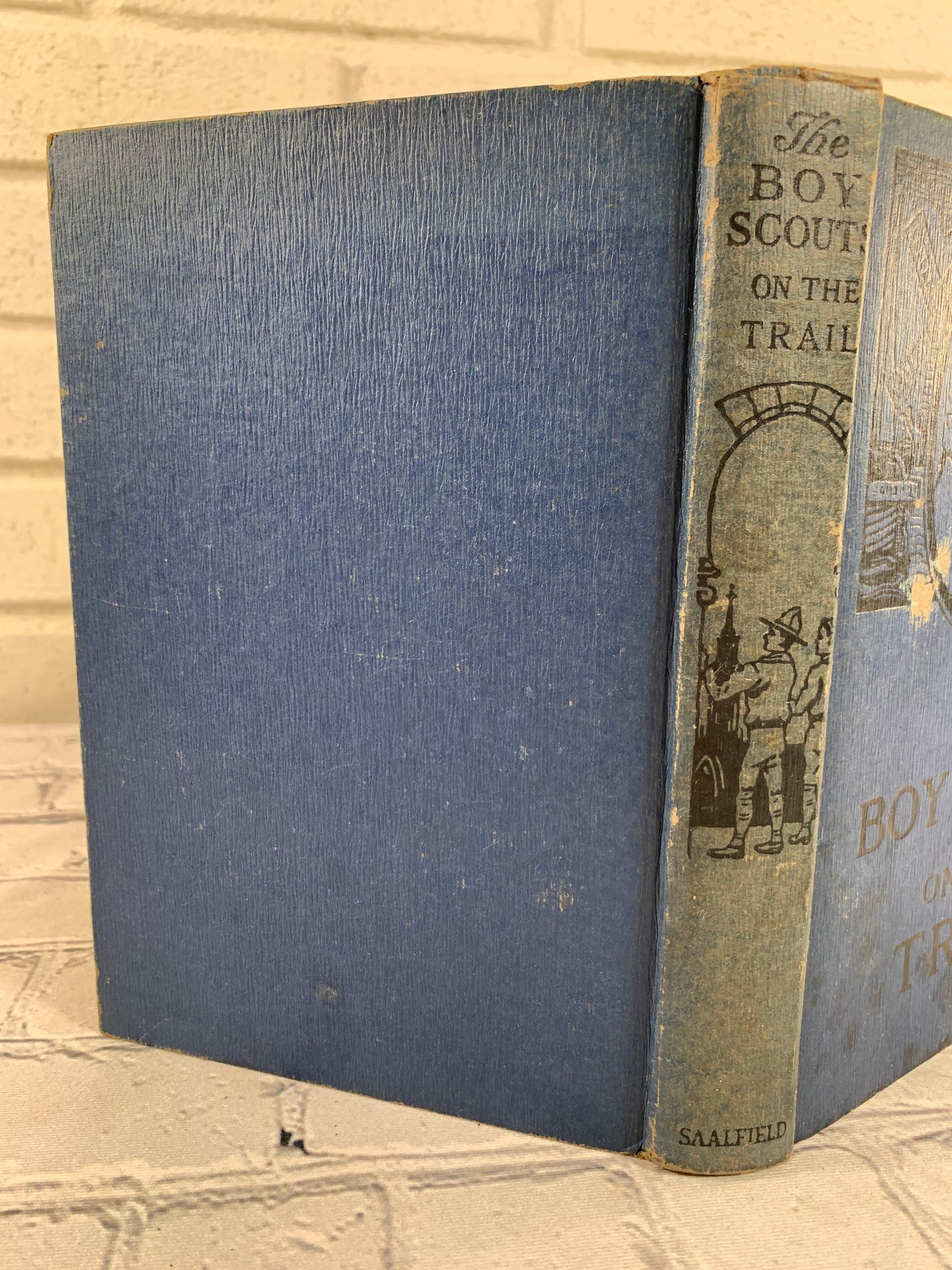 The Boy Scouts on the Trail by George Durston [1921]