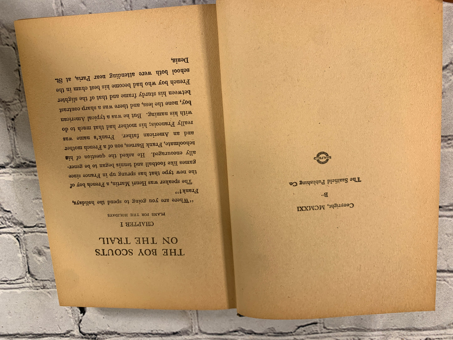 The Boy Scouts on the Trail by George Durston [1921]